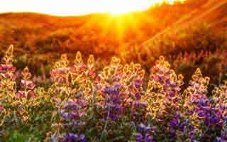 Switzerland: Where It Is and What Makes It Extraordinary