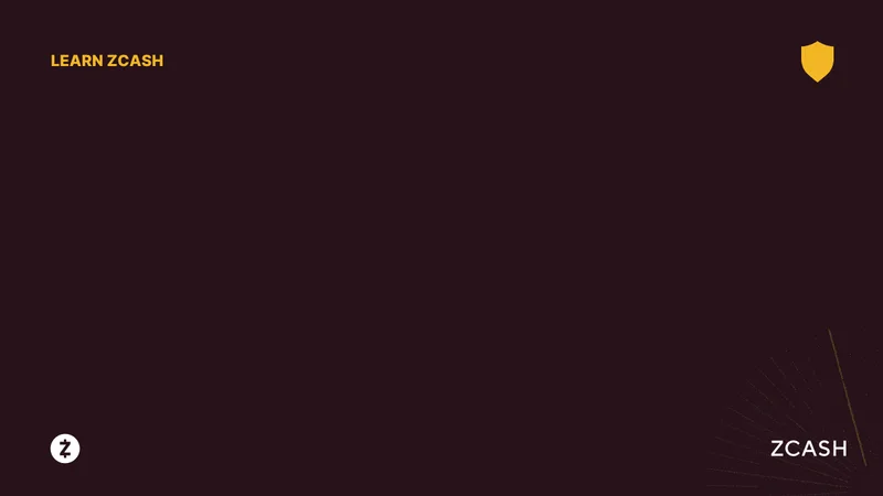 Zcash's Breakout: Why It's Surging and What Comes Next