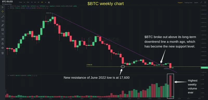 Bitcoin Bottom In? It's a Trap. - Crypto Twitter Reacts
